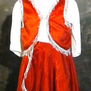 Ensemble de cow girl